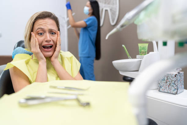Best Emergency Dental Services for Seniors in Shillington, PA